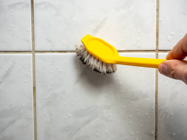 Best Attic Mold Removal  in Brooklyn Park, MD