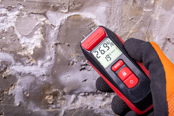 Best Black Mold Removal  in Brooklyn Park, MD